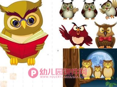 中班美术课件PPT《猫头鹰》PPT课件图片