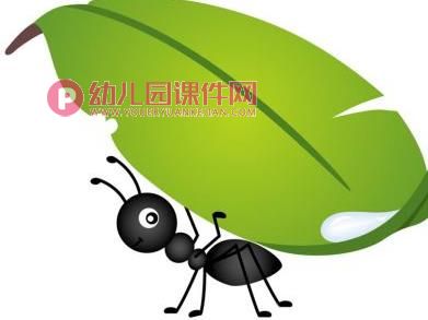中班美术课件PPT《小蚂蚁》PPT课件图片