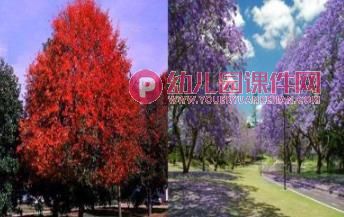 中班美术课件PPT《马路边的树》PPT课件图片