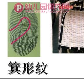 中班美术活动课件PPT《有趣的指纹》PPT课件图片