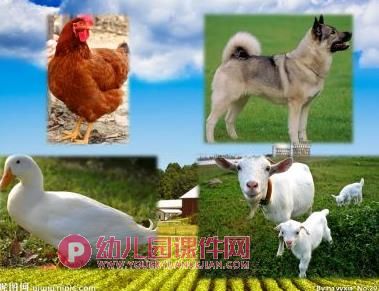 中班美术活动课件PPT《画画脚印》PPT课件图片