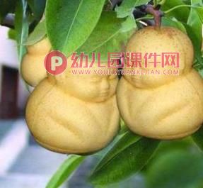 中班美术活动课件PPT《秋天的果实》PPT课件图片