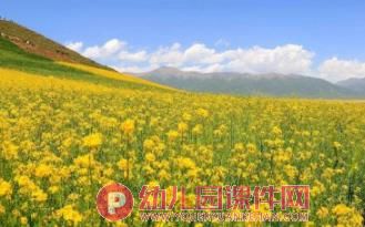 中班美术手指点画课件PPT《美丽的油菜花》PPT课件图片