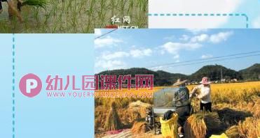 中班社会课件PPT《爱惜粮食》PPT课件图片