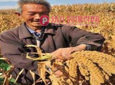 中班社会课件PPT《光盘行动》PPT课件图片
