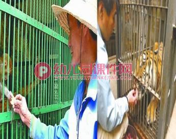 中班社会课件PPT《不要随便喂小动物》PPT课件图片