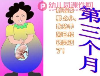 中班社会课件PPT《在妈妈肚子里》PPT课件图片