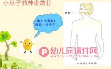 中班社会课件PPT《食物旅行记》PPT课件图片