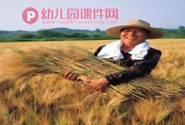 中班社会课件PPT《光盘行动》PPT课件图片