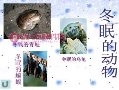 中班社会课件PPT《冬天来了》PPT课件图片