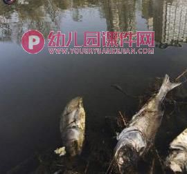 中班社会公开课课件PPT《宝贵的水》PPT课件图片