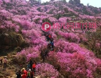 中班社会课件PPT《家乡真美》PPT课件图片