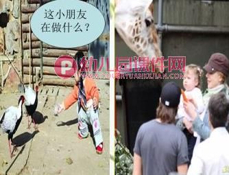 中班社会课件PPT《不要随便喂小动物》PPT课件图片