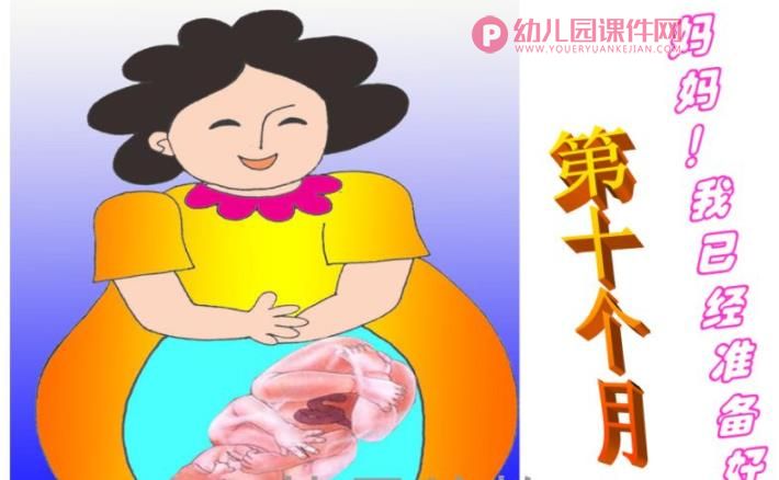 中班社会课件PPT《在妈妈肚子里》PPT课件图片