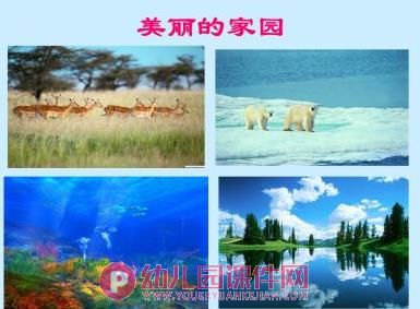 中班社会活动课件PPT《地球生病了》PPT课件图片