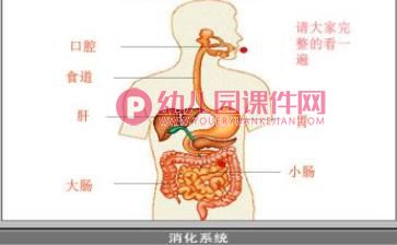 中班社会课件PPT《食物旅行记》PPT课件图片