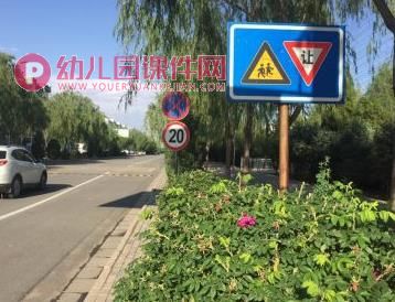 中班社会课件PPT《老鼠贝特要进城》PPT课件图片