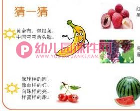 中班社会活动课件PPT《认识各种水果》PPT课件图片