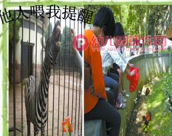 中班社会课件PPT《不要随便喂小动物》PPT课件图片
