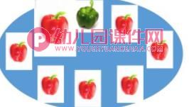 中班数学课件PPT《图图家请客》PPT课件图片