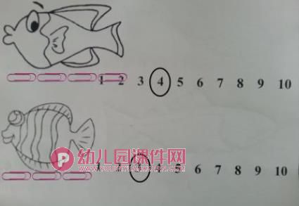 中班数学课件PPT《小鱼有多长》PPT课件图片