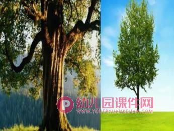 中班数学课件PPT《比较粗细》PPT课件图片