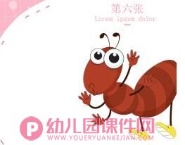 中班数学课件PPT《寻找七星瓢虫》PPT课件图片