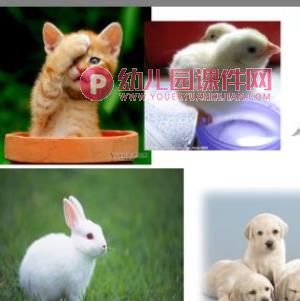 中班数学课件PPT《环形计数》PPT课件图片