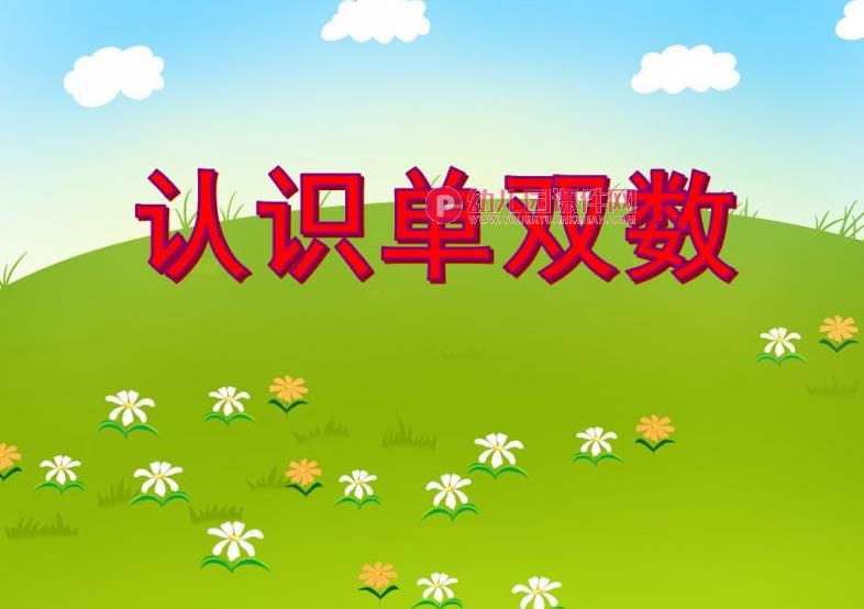 中班数学活动课件PPT《认识单双数》PPT课件图片