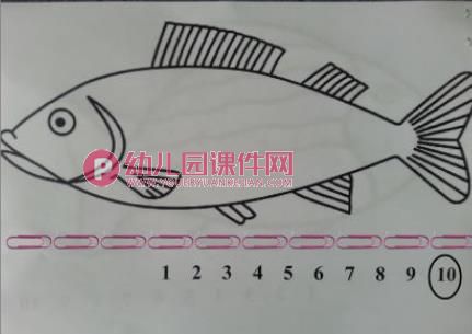 中班数学课件PPT《小鱼有多长》PPT课件图片