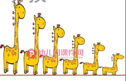 中班数学课件PPT《排排队》PPT课件图片
