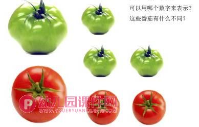 中班数学课件PPT《番茄算式图》PPT课件图片