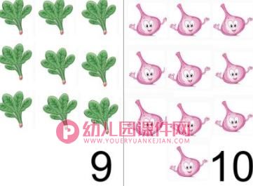 中班数学课件PPT《学习10的形成、数数》PPT课件图片