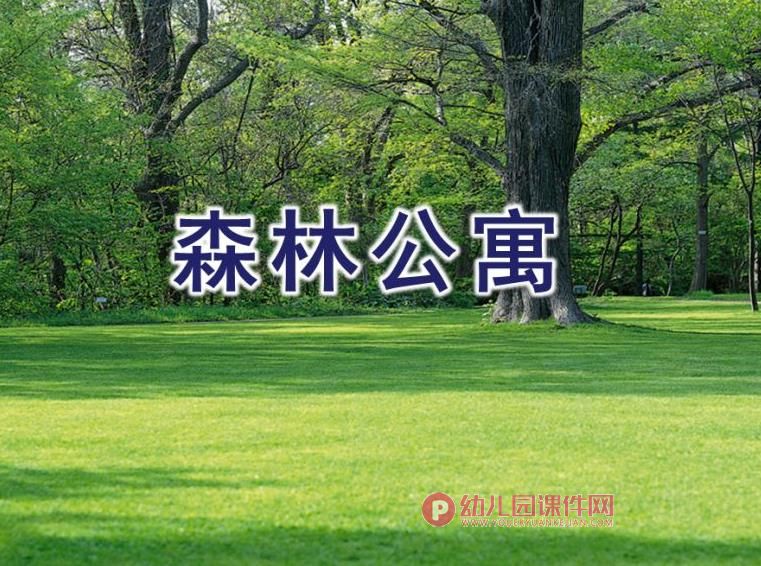 中班序数课件PPT《森林公寓》PPT课件图片