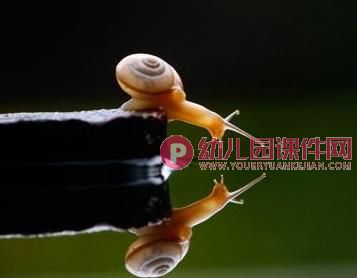中班数学课件PPT《坐船游览》PPT课件图片
