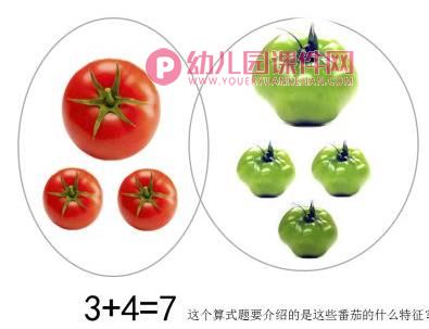 中班数学课件PPT《番茄算式图》PPT课件图片