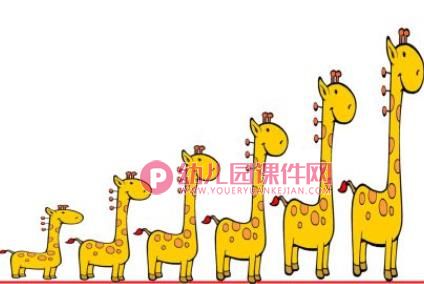 中班数学课件PPT《排排队》PPT课件图片