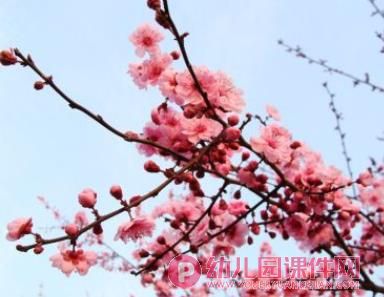 中班数学活动优质课课件PPT《找春天》PPT课件图片