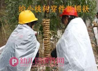 中班音乐课件PPT《给小桃树穿件新棉袄》PPT课件音频图片