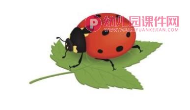 中班歌唱课件PPT《懒惰虫》PPT课件图片