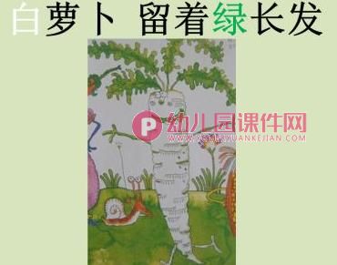 中班音乐课件PPT《蔬菜的打扮》PPT课件图片