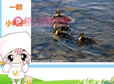 中班音乐课件PPT《数鸭歌》PPT课件视频图片