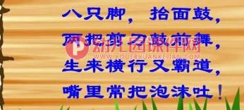 中班音乐课件PPT《螃蟹歌》PPT课件图片