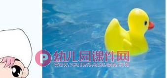 中班音乐课件PPT《数鸭歌》PPT课件视频图片