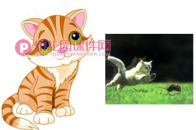 中班儿歌课件PPT《老师本领大》PPT课件图片