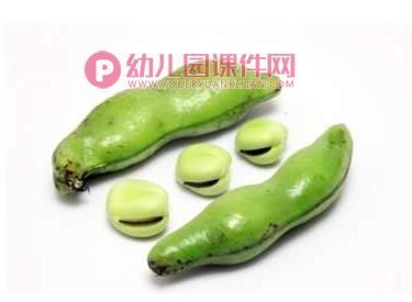 中班音乐课件PPT《蚂蚁搬豆》PPT课件歌曲图片