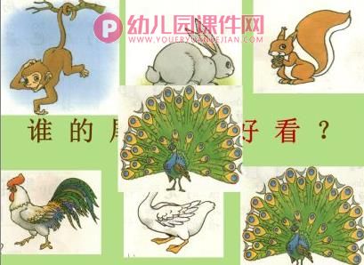 中班音乐优质课课件PPT《谁的尾巴最好看》PPT课件图片
