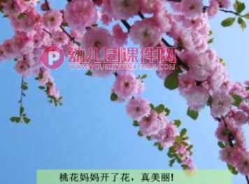 中班语言课件PPT《桃花瓣儿》PPT课件图片