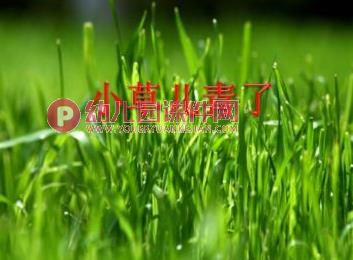 中班语言活动课件PPT《春姐姐变戏法》PPT课件图片