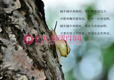 中班绘本课件PPT《加油吧,蜗牛》PPT课件图片